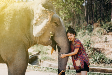 Happy girl with Elephant in sunlight,Adventure concept 