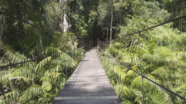 4K adventure feeling video crossing a suspended wooden bridge over a river into a jurassic like jungle in Asia surrounded by bright green plants and trees