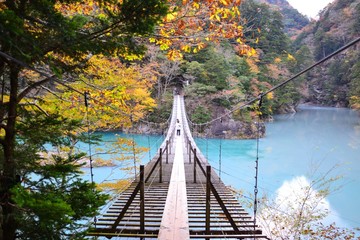夢の吊り橋