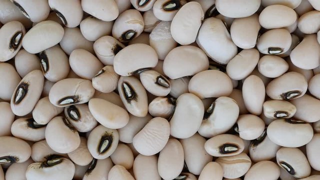 White Kidney Bean contains Phaseolamin, a protein that can inhibit the activity of alpha amylase, which people who want to lose weight want to consume.