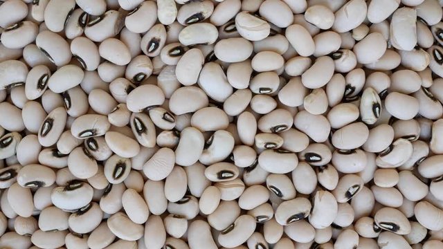 White Kidney Bean contains Phaseolamin, a protein that can inhibit the activity of alpha amylase, which people who want to lose weight want to consume.