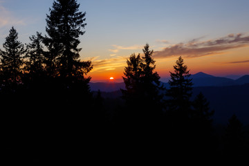 Beautiful landscape in the sunset.