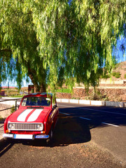 A red car parked under a green tree next to the road on a summer day in spain