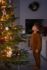 Cute little child looking at top of decorated Christmas tree at home. Winter holidays lifestyle.