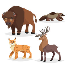 North America wild animals set. Collection of forest animals. Bison, deer, lynx, wolverine. Vector illustrations in comic style, Isolated on white background.