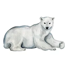 Foto op Canvas Watercolor cute white polar bears in the north © alinaosadchenko