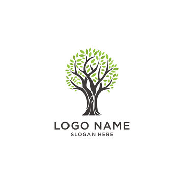 tree logo design inspiration, vector eps 10