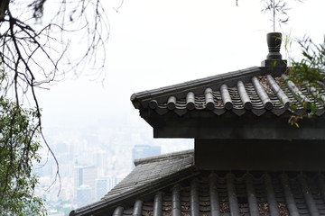 rooftop of a chinese traditional style pavilion in shenzhen, with a foggy cityscape background