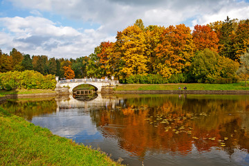 Fototapeta na wymiar Autumn park, Slavyanka river and the Cast-iron bridge. Pavlovsk. St. Petersburg. Russia