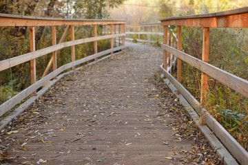 Fototapeta na wymiar Golden autumn, beautiful background of orange leaves on the path