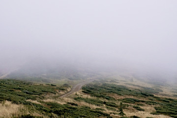 Fog in the ukrainian mountains