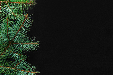 Christmas tree branches on the left side on black board background. Copy space, flat lay, view form above