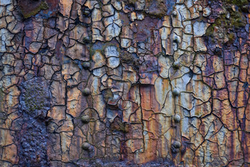 Rusty, iron, plate, riveted, marine, corrosion, red, metal, vintage, victorian