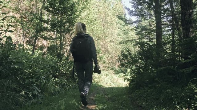 Traveler photographing scenic view in forest. One caucasian woman shooting nice magic look. Girl take photo video on dslr mirrorless camera. Professional photographer travel with backpack. Outdoor.