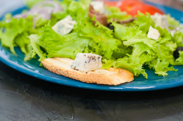 Salad with octopus or squid, cheese, tomato, olives, onions, spices and croutons, sauce or oil on blue plate
