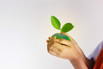 Hands children holding the world made from clay and tree on top, Eco friendly concept