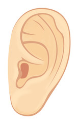 Left ear of man or woman. Illustration with volume elements. Isolated on a white background.