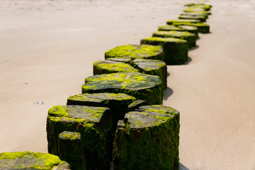 Buhne Wangerooge Holz Deutschland Strand Befestigung Insel Gezeiten Meer Strand Wellen Sand Ufer...