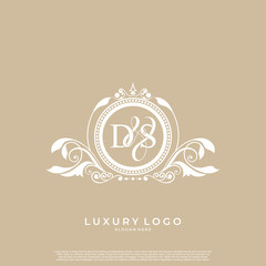 Logo Initial letter DS luxury vector mark, gold color elegant classical symmetric curves decor. editable file EPS10.