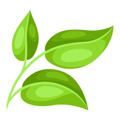 Illustration of sprig with green leaves.