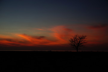 Fototapeta premium sunset and sunrise is the beauty of nature that is at the end of the night and evening gives the perfect color to the sky so that the clouds look beautiful to look at.
