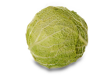 Fototapeta premium green cabbage isolated on white background