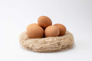 Egg on Nest With White Blackgound