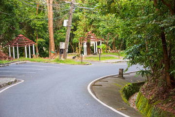 Road to Thailand national park, Phuket.