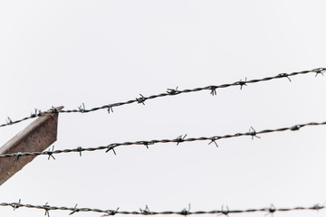 Barbed wire on the fence.