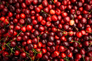 Cherry. Fresh organic berries. Fruit background