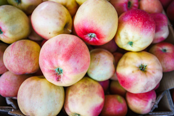 Red apples background, freshly picked tasty fruits