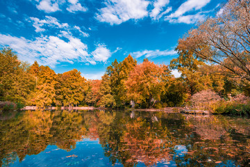 Real Autumn landscape. Golden autumn scene in a park