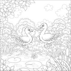 Wild geese near a small lake on a meadow on a beautiful summer day, black and white vector cartoon illustration for a coloring book page