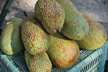 Cempedak is a kind of jack fruit also known scientific name as Artocarpus Integar. 