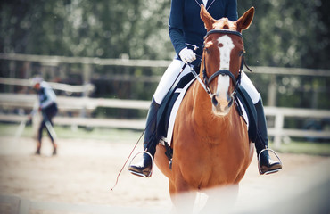 The rider rides a sorrel horse with a white spot on his forehead, which is dressed in sports gear,...