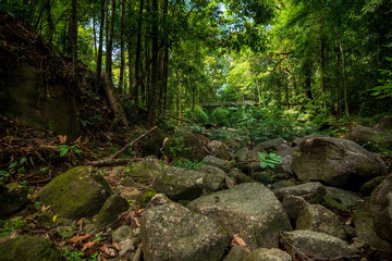Beautiful national park in Thailand, Phuket.