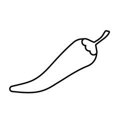 Isolated chilli vegetable vector design