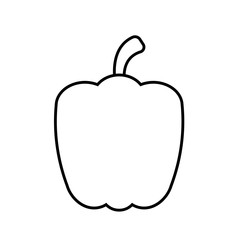 Isolated pepper vegetable vector design