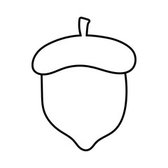 Isolated acorn fruit vector design