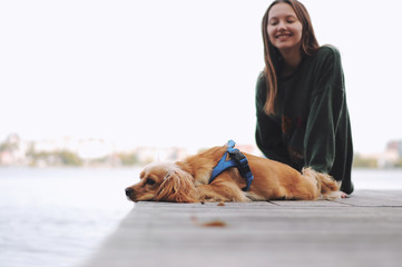 Girl and english cocker spaniel dog lying on wooden bridge.Portrait of dog outside (outdoors)....