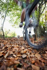 Dog Chasing Man On Mountain Bike