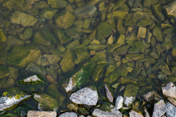 green moss on the rocks by the lake. moss and rocky shore