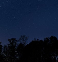 Stars over a dark treeline