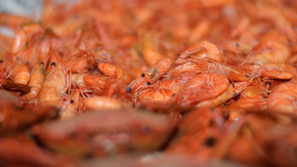 Galician cooked shrimp. This simple recipe is one of the most sought-after seafood at Christmas meals.