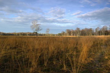 Duvenstedter Brook 2