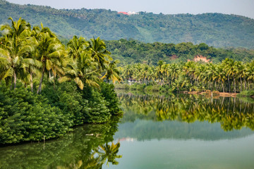 beautiful landscape in muttom, kannur