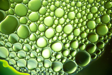 macro photograph of oil in liquid