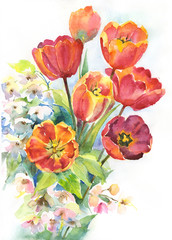 A bouquet of tulips and pear branches flowers. Spring flowers. International Women's Day March 8, Victory Day. Watercolor, decorative fill for card design, frame, paper bag.