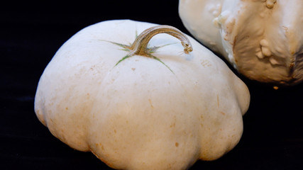 Calabazas blancas decorativas