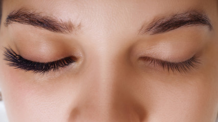 Eyelash Extension Procedure. Woman Eye with Long Blue Eyelashes. Ombre effect. Close up, selective focus.